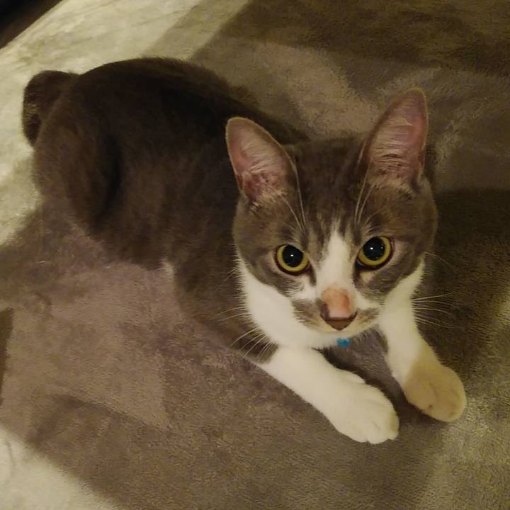 Ca6ced2c 562b 4c60 b706 7e614d3012ad 1593613149048