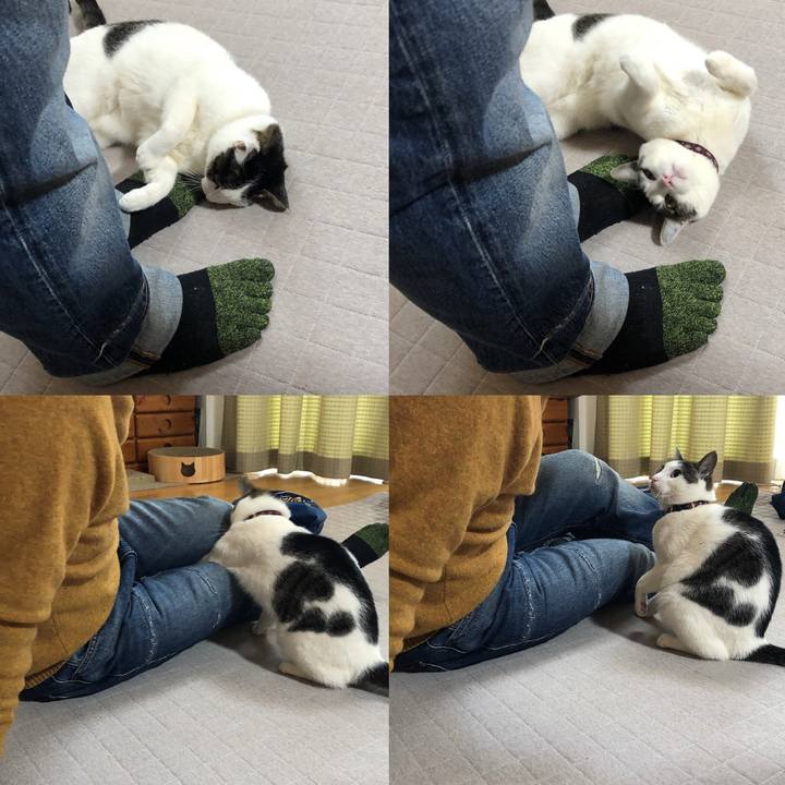 Ca6cf4bb 98a5 41c5 9b65 098c15cb8f10 1644114412554