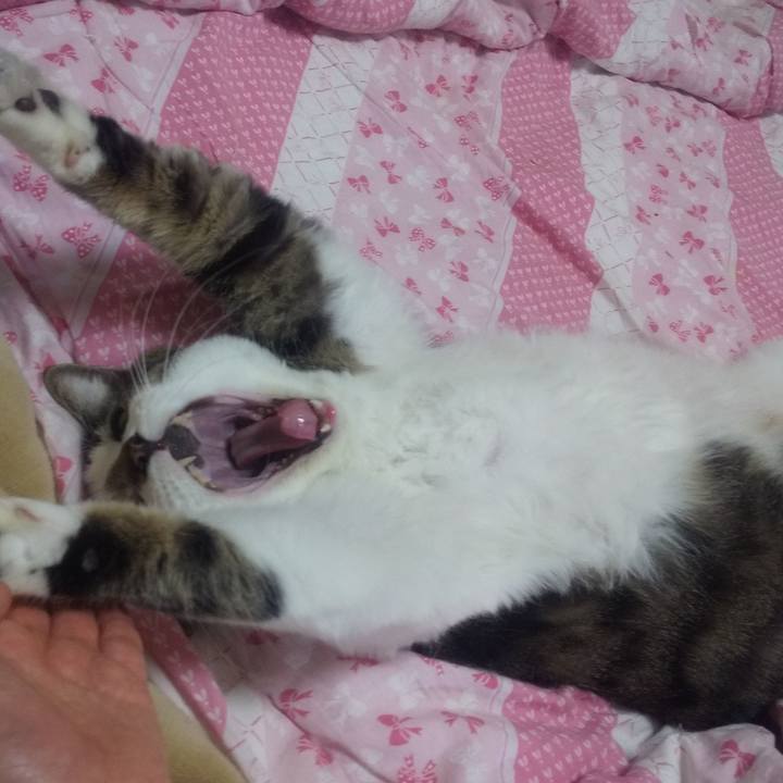 Ca6d12d1 22f2 41a9 bc21 d3c172415759 1710509766554