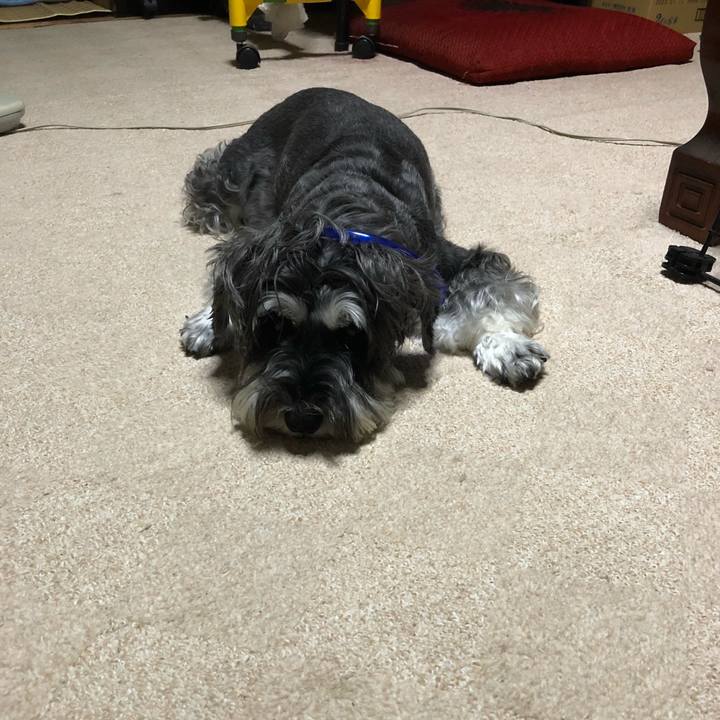 Ca6d303b 8e60 4e47 ba50 02863cad05c1 1693388359032