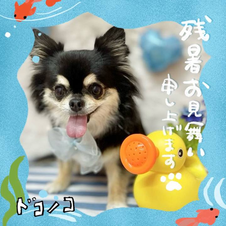 Ca6d306e 22e2 4339 a230 7c83e9b8502a 1723247151641