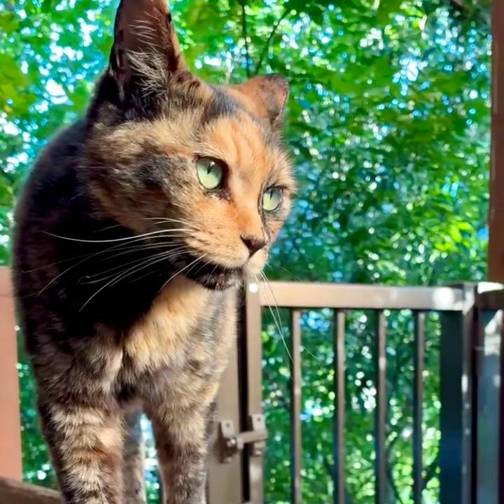 Ca6d33f4 94b4 498b 8688 3c4a42327733 1751199425746