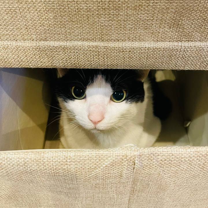 Ca6d6038 2b04 4a35 bf54 45d3bbdd81be 1647438817008