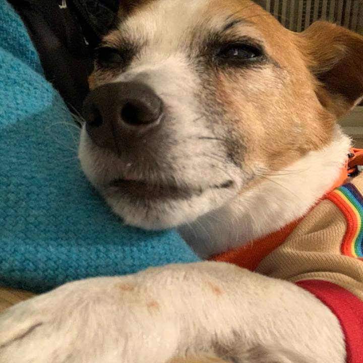 Ca6d8f29 79bf 469e 9a70 551df634dd0f 1646226615683