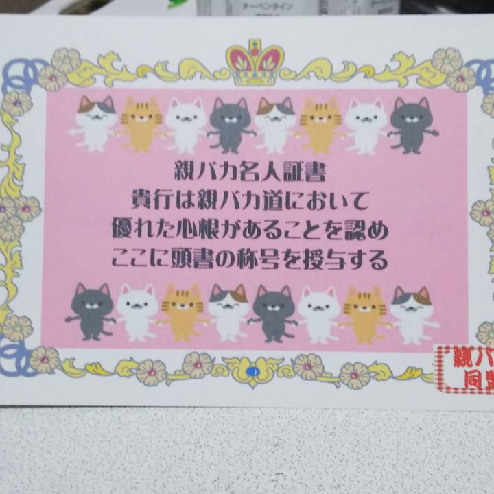 Ca6dac8f fad7 49ab a3bf d0301da1f404 1556790442452