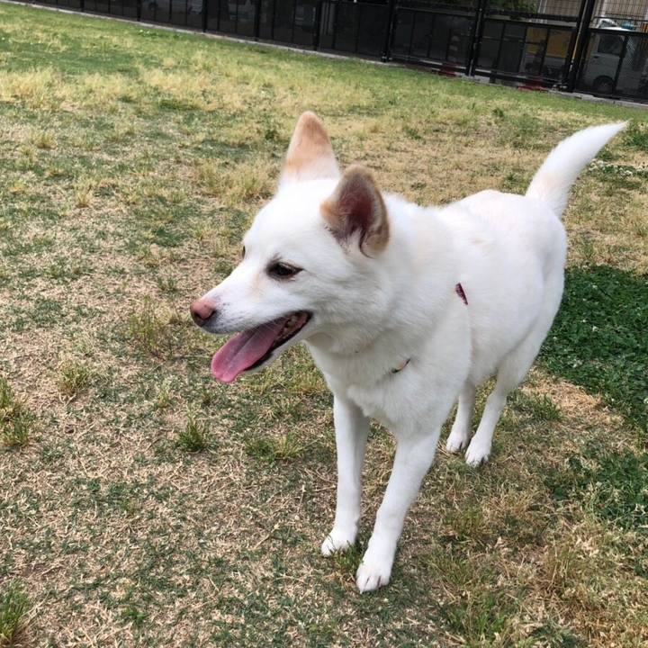 Ca6dbed4 e5c8 4c5a 87ad 8327889c5e08 1558250550419