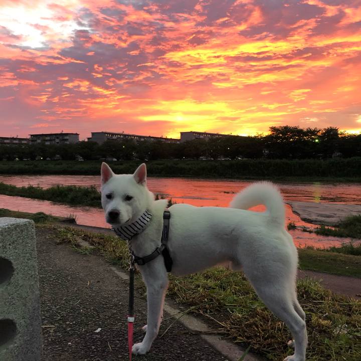 Ca6def75 0d42 4e49 975c fef6a0a38231 1565209821060