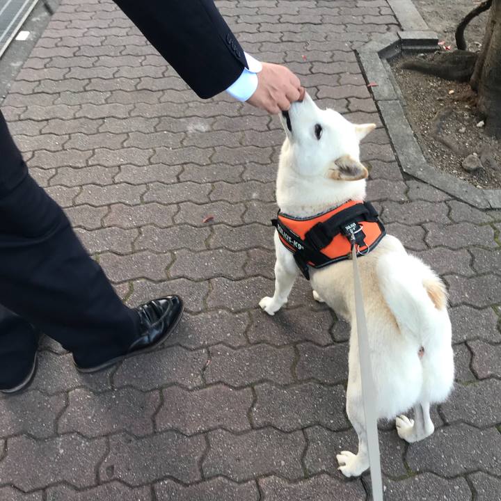 Ca6df2a7 5442 4835 9a5f f986a2568eb8 1543189310184