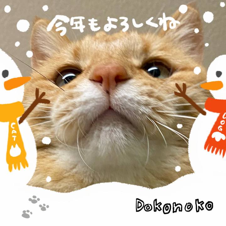 Ca6e267c 7cc4 4229 b187 b10b4a657423 1704585740948