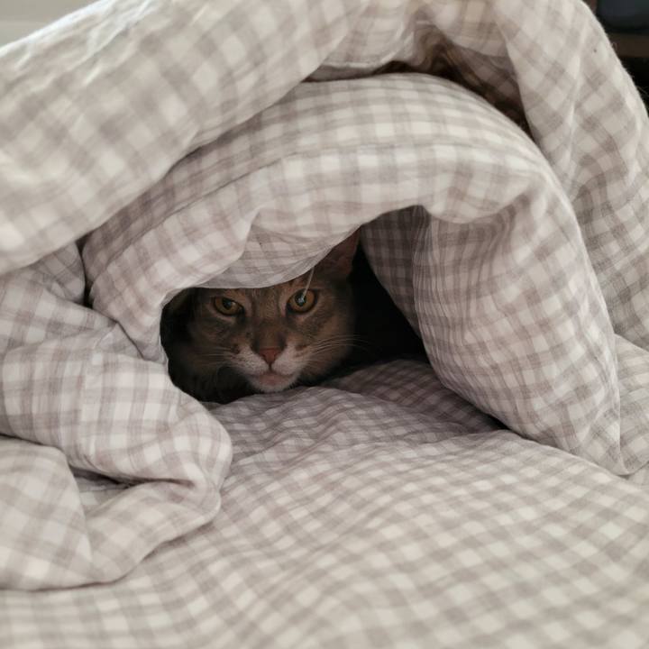 Ca6e5d64 e1c8 4a09 aaeb 347be9fdd351 1640829312492