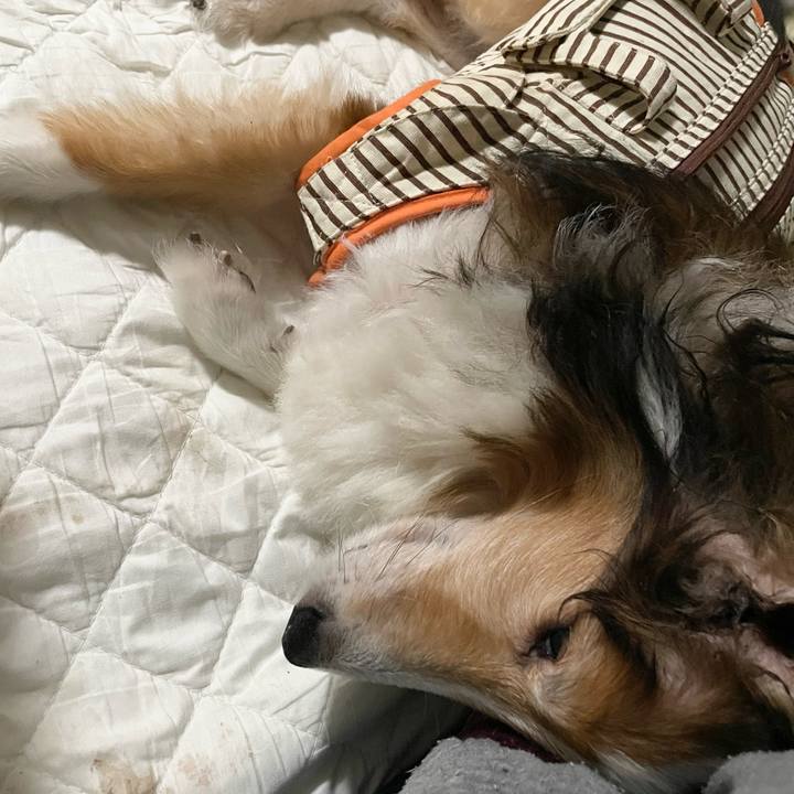 Ca6e65c2 37f9 4831 a120 0a00f7afa6bc 1637565718429