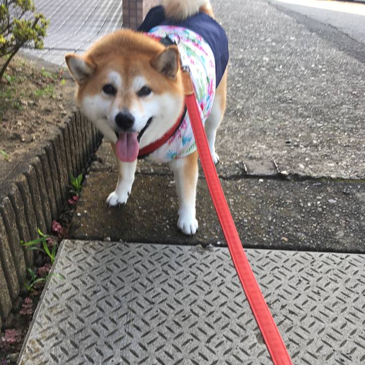 Ca6ea1e7 cbfc 42cd 803e f4a7c9e00d02 1596670064043