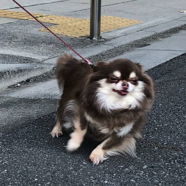 Ca6ee0ac e418 4b9c 8215 a59244adfa96 1584631386744