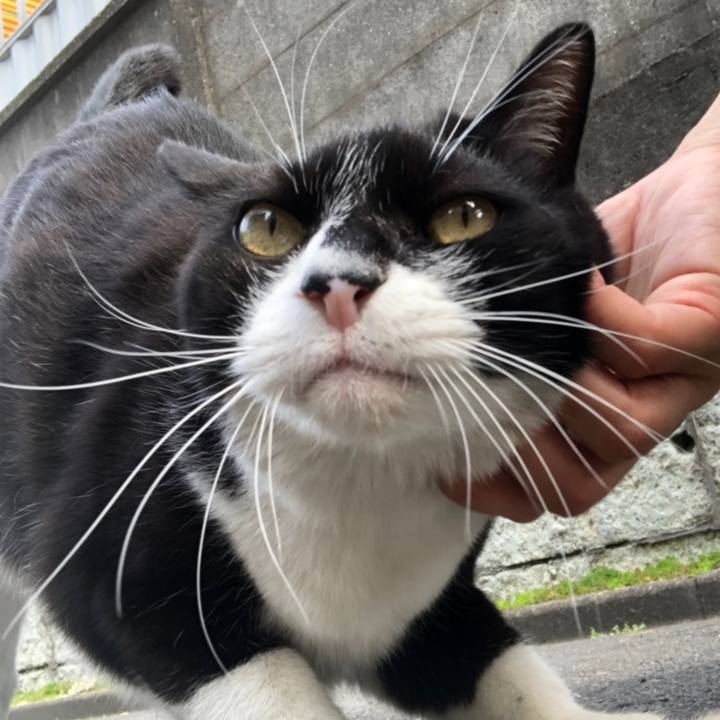 Ca6ef667 4269 43d2 95ba be6d0f0371ed 1558190171985