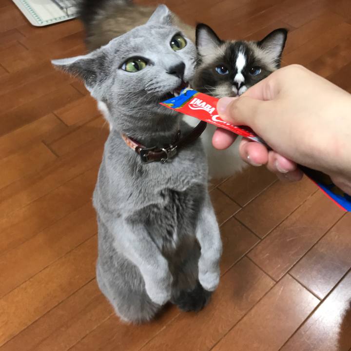 Ca6efeff 4754 4771 bb7a 51cde473ab45 1537222981920