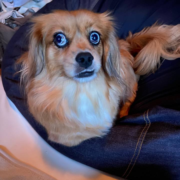 Ca6f27e1 9836 48a3 ad8f 61c88d73c638 1600637546055