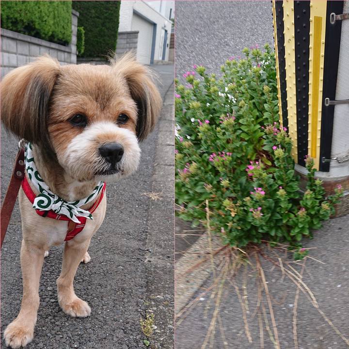 Ca6f9628 19b7 456d b889 cbd3ba3d6225 1560118661823