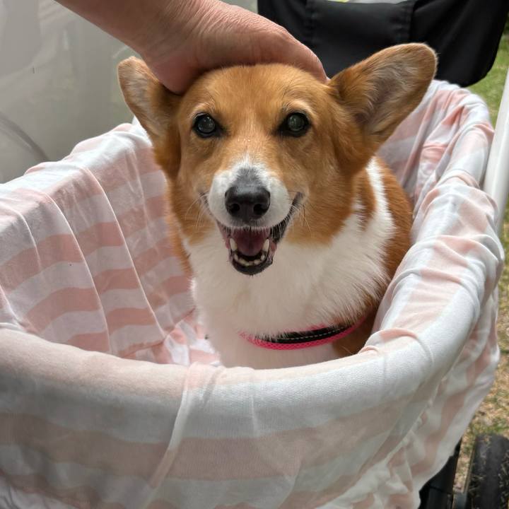 Ca6fa98c 1a89 44a3 b462 e697e6c4f838 1745545202802