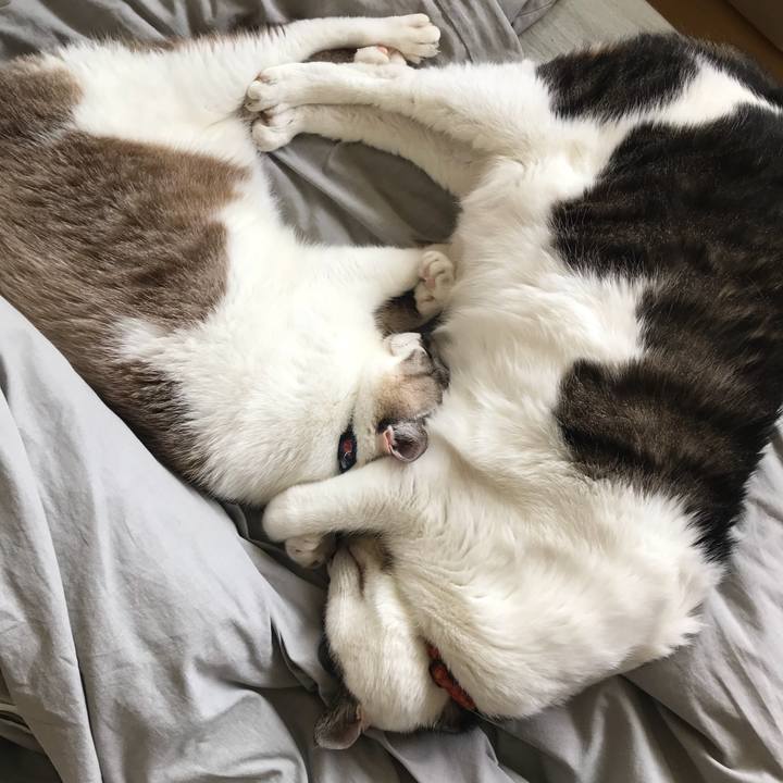 Ca703d37 397e 49bf 9bd6 43c53669c576 1527051703299