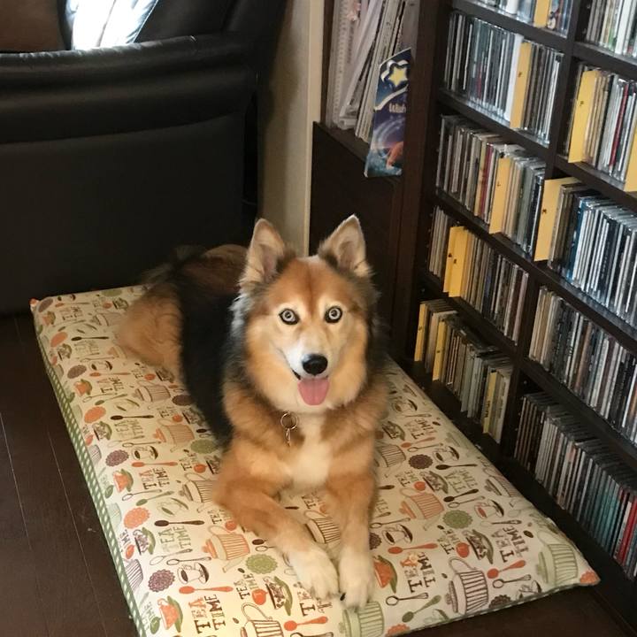 Ca7083b0 9871 48fe b214 2017828af5f4 1674354847926