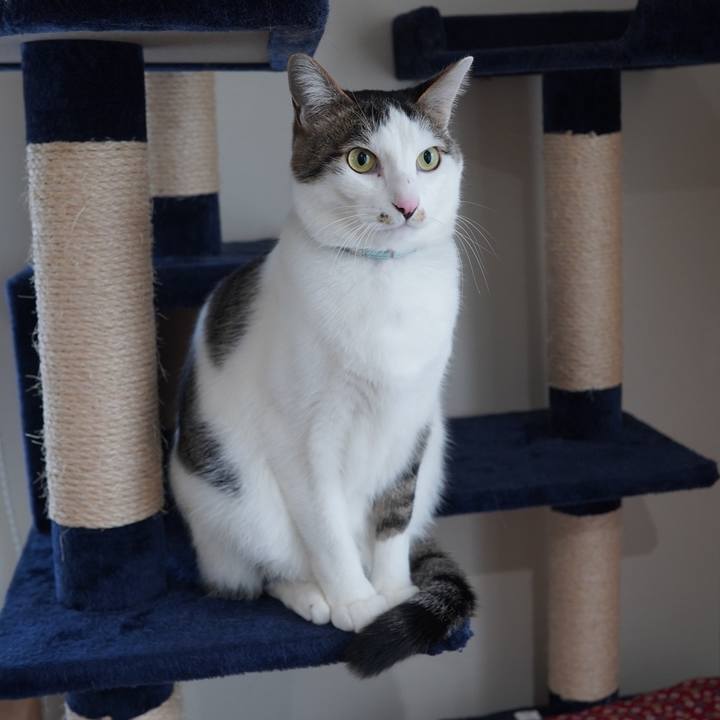 Ca708553 35a5 4030 9642 b473f1d90826 1610429019272