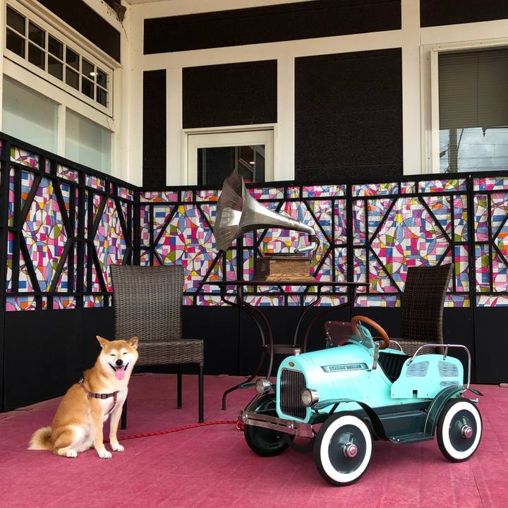 Ca708585 f313 4a40 bebc 1caa8a792d63 1563180994842