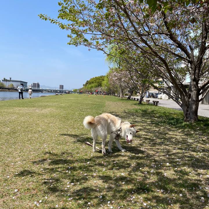 Ca709fe3 fb8c 49a0 a8be a08142458b00 1649569642402