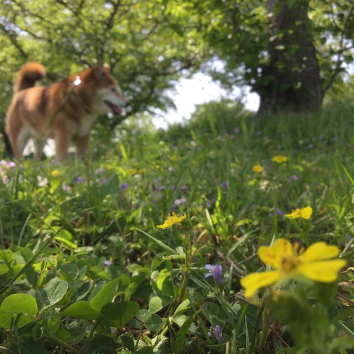 Ca70b3fd 257e 4d89 9159 adfc549f129b 1618899888895