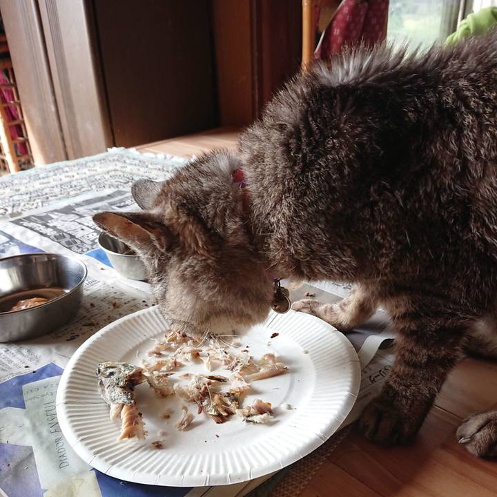 Ca70c30e 2103 4503 bd3b 9816fff7eb35 1598139762115