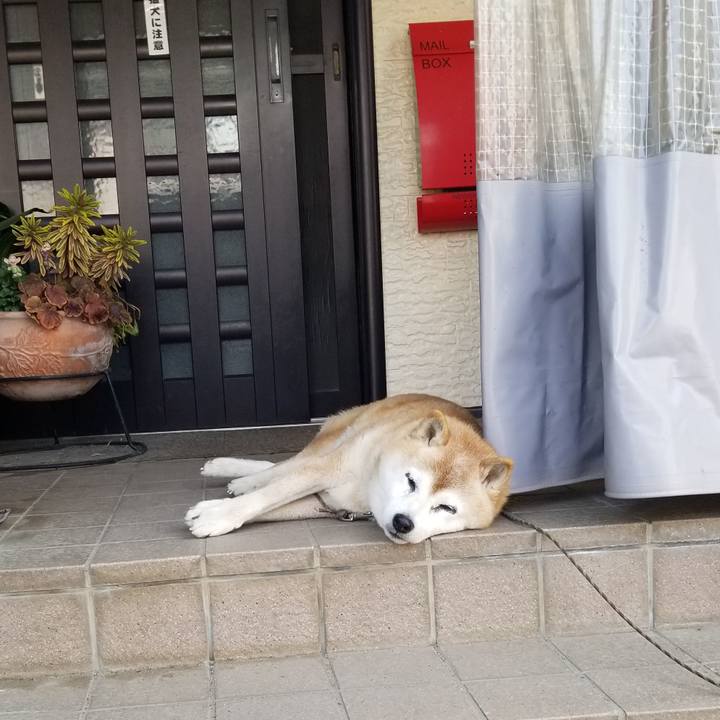 Ca70d20f fbca 4114 8026 db706d0b256f 1742950459656