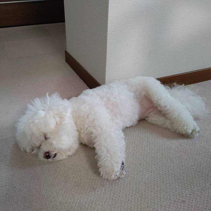 Ca70ddf5 8070 4e5f ae16 467f424b6a7b 1626511411183