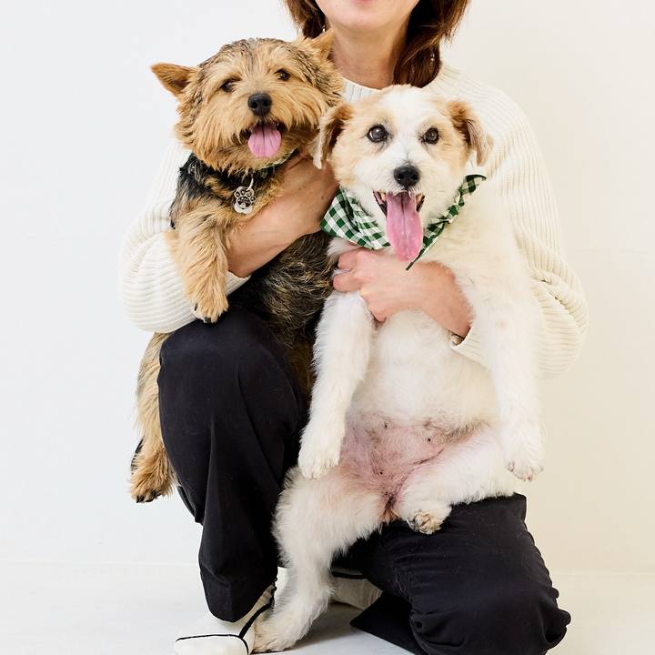 Ca70df38 760f 4edb 9891 3331c71f54e6 1767194302510