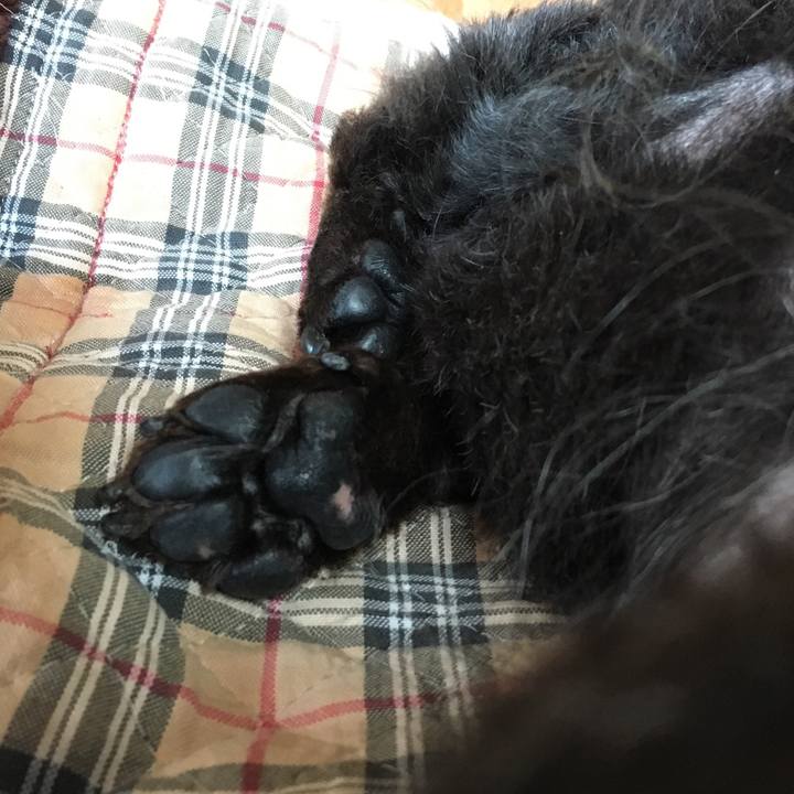 Ca7128c2 cfd2 4380 85f4 6fc0e50ecd91 1529708883452