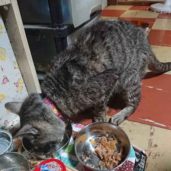 Ca712c3d d8ee 458e b79e 0a31293067c8 1593169642071