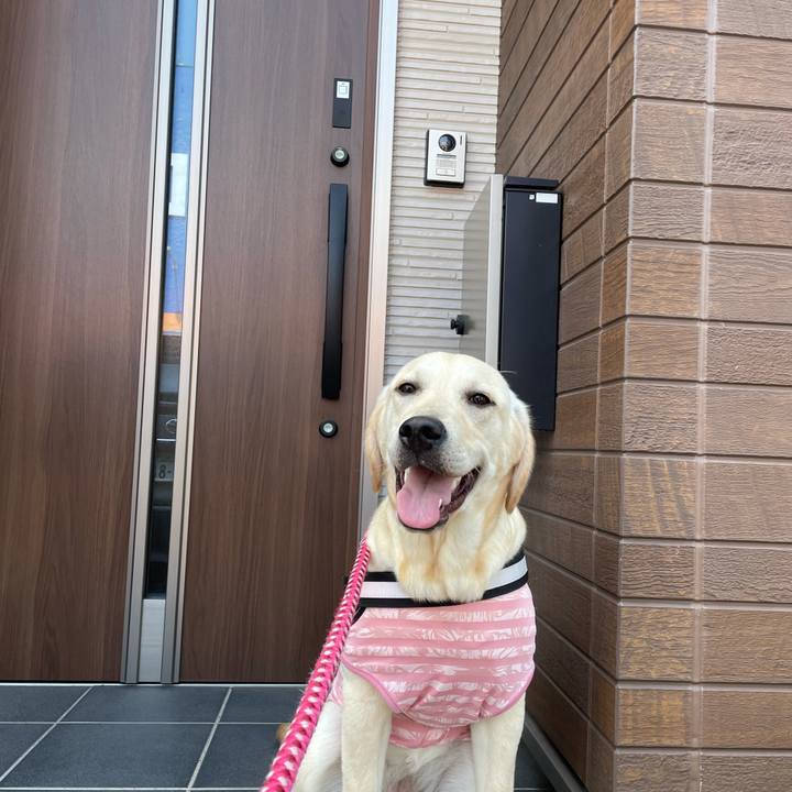 Ca715ccc ed10 4491 8738 20c10335ee58 1624083516194