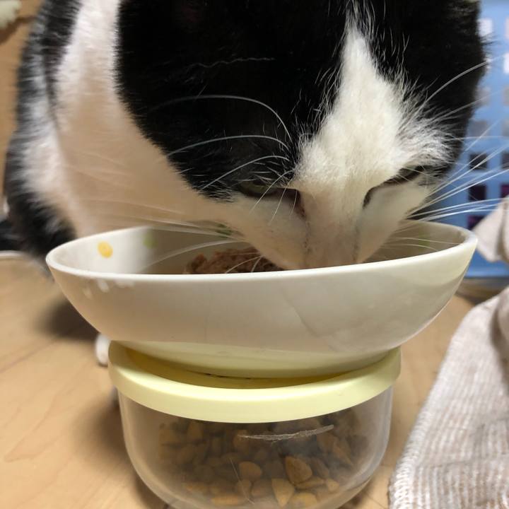 Ca71f59e 0c7c 48c9 b0ff 34aefee391e0 1582374808133