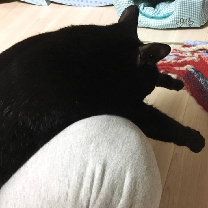 Ca721472 4bf6 439b 8977 0bcc0363659b 1519126059687