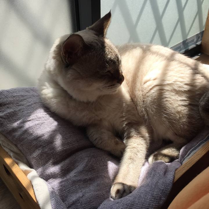 Ca72157c 2af9 458d 92c4 861a466c6430 1535517120306