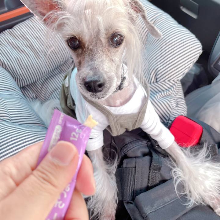 Ca72248c 2f1d 4e60 93be a64e54281364 1759820793859