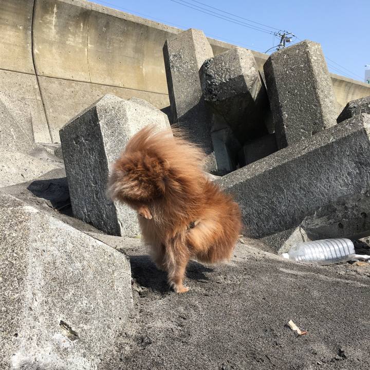 Ca725171 4fac 4227 a970 47a4b47366bf 1522040532110