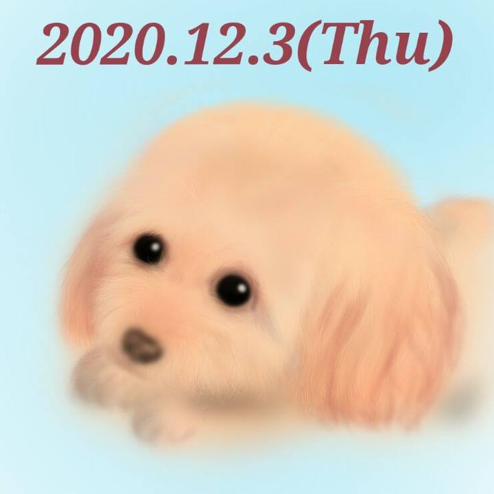 Ca728819 823d 4fe3 9378 e5c8814bc79d 1606996213400
