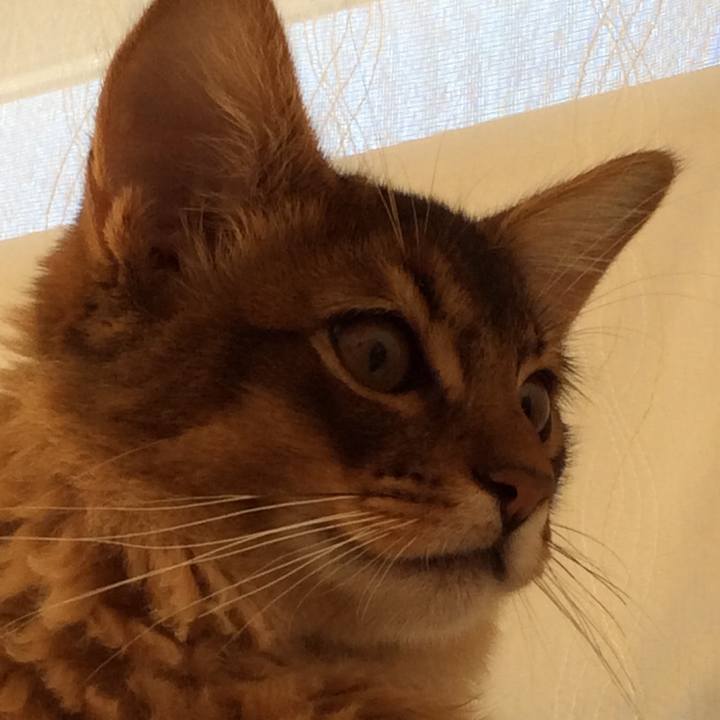 Ca72f743 8336 49af a4be 809081c753f9 1575975774838