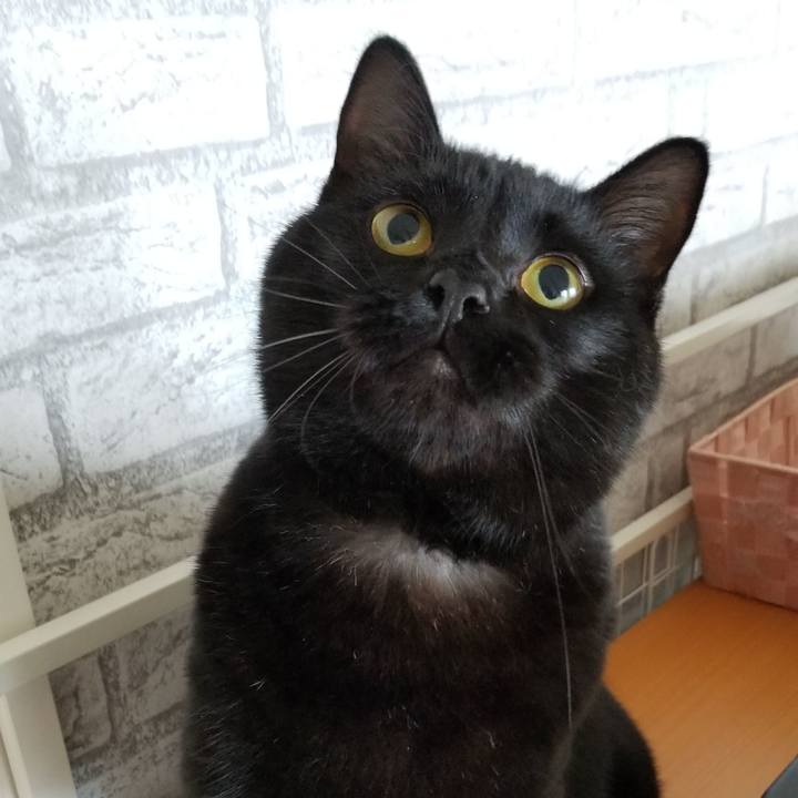 Ca7319f5 876a 4580 8269 2078d461c4a8 1538011690735