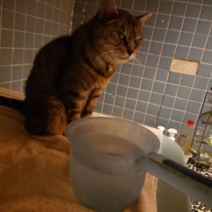 Ca731e67 70d7 4929 97ac 82040d3960d3 1571650696662