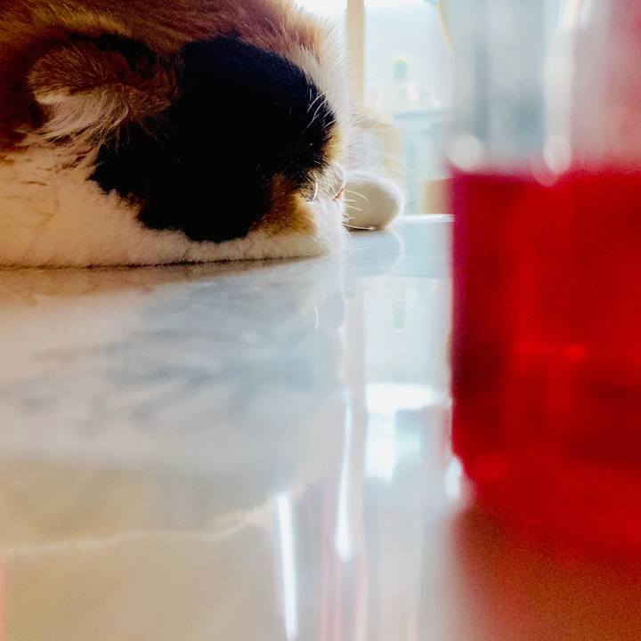 Ca7364a6 54bc 4f81 8fee fa40efa88fb5 1564995209660