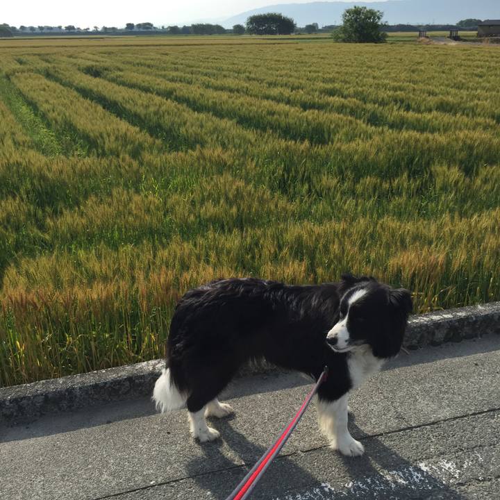 Ca736e73 2346 4e04 abd9 e7896063de00 1526079638130