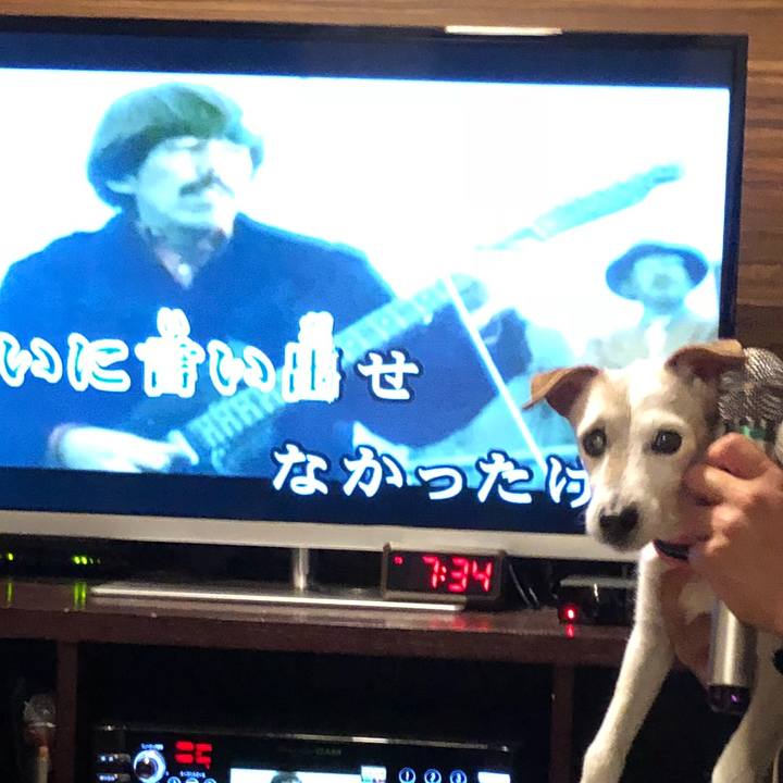 Ca73a99f 6b69 452c bc5f 3777fcb41265 1525092630421