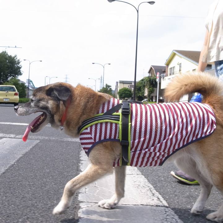 Ca73bdf2 bcdb 4f14 9d37 e93211d87010 1588207935900