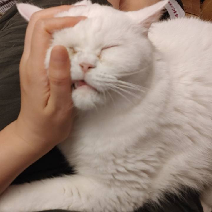 Ca73f48d 2605 4686 9857 df760d684c12 1620427698248