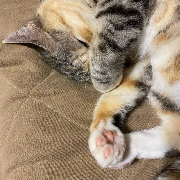 Ca74064c ef27 40cc 815c 1a5625d74865 1616332788132